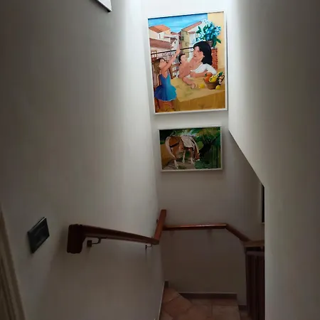 Bucceri